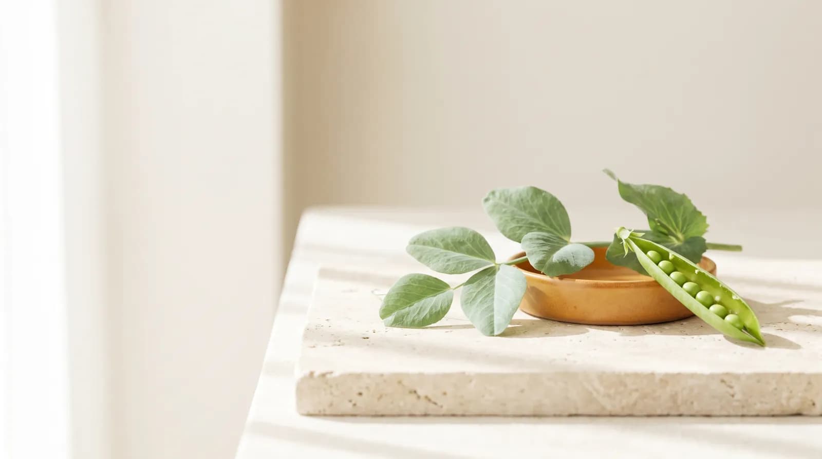 Vegan-Friendly Personalised Nutrition with Bioniq GO