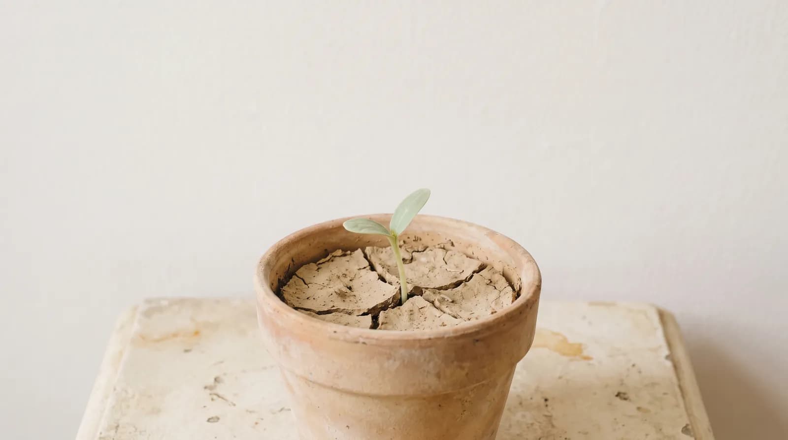 When the Routine Slips: Starting Again Without the Guilt